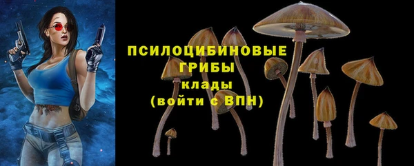прущие грибы Алексеевка