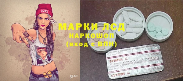 твердый Алзамай
