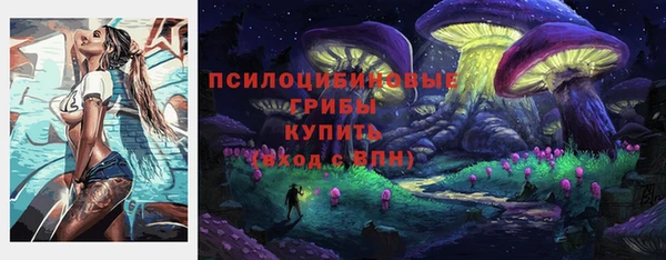 герыч Алексин