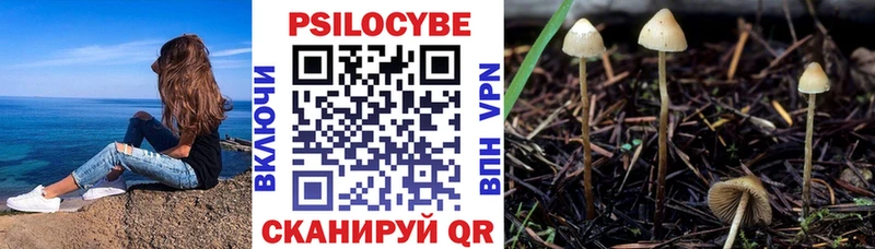 Галлюциногенные грибы Cubensis  Ярцево 