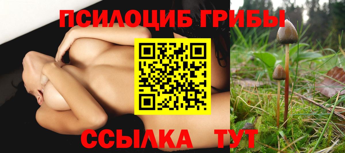 дарнет шоп  Вход с VPN  Ярцево  Галлюциногенные грибы прущие грибы  Галлюциногенные грибы Psilocybine cubensis 